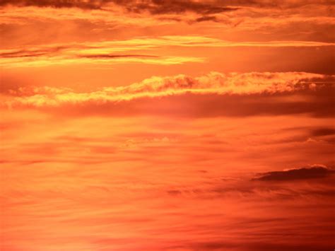 Bright Orange Sunset Sky Free Stock Photo - Public Domain Pictures