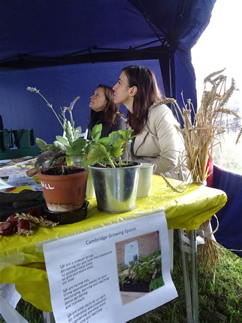 Stall at Kettle’s Yard event « Growing Spaces