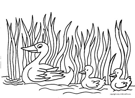 Printable Duck Coloring Pages - Coloring Home