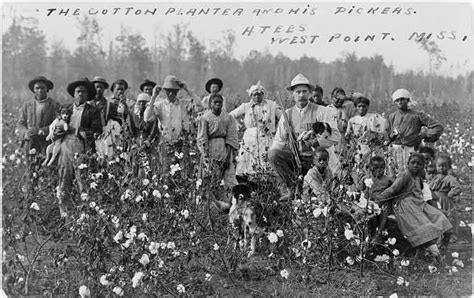 Life as a Slave in the Cotton Kingdom | African American History and Culture | | Course Hero