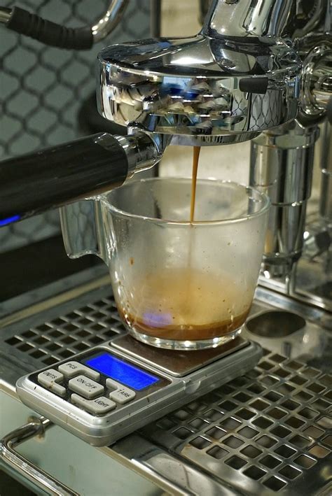 What Is Lungo Coffee? (and How To Brew A Cup Of Creamy Lungo Coffee)