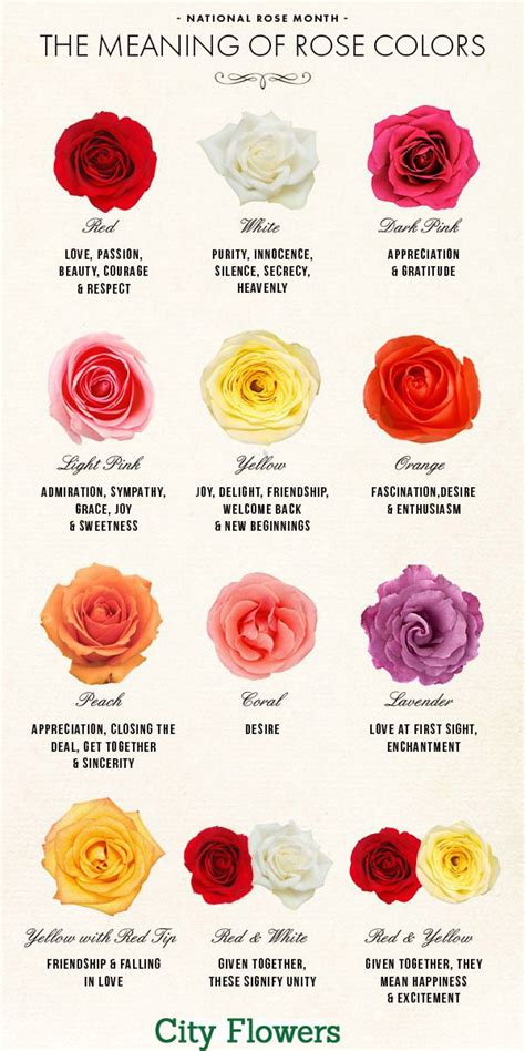 Roses Guide - Roses Meaning | Visual.ly | Rose color meanings, Flower meanings, Flowers