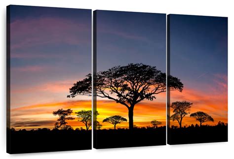 African Sunset Silhouette Wall Art | Photography