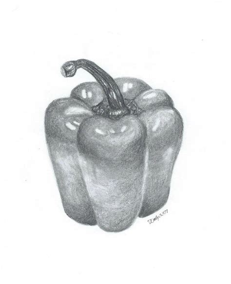 Pepper by emily3371 on deviantART in 2021 | Fruit art drawings, Art drawings sketches simple ...