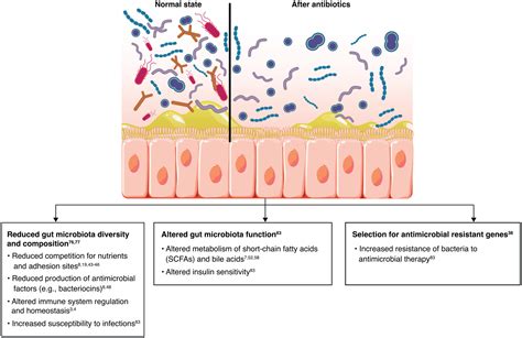 The role of the gut microbiome in colonization resistance and recurrent Clostridioides difficile ...