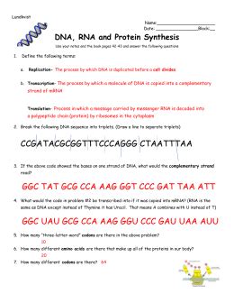 Biology Protein Synthesis Worksheet Answers