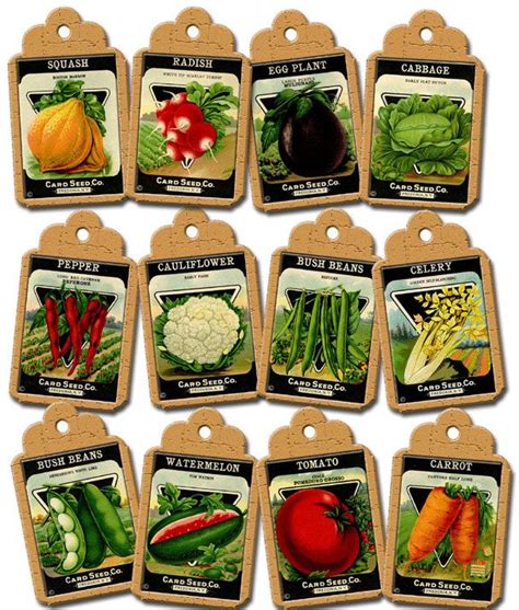 Vegetable Seeds Store Near Me - G4rden Plant