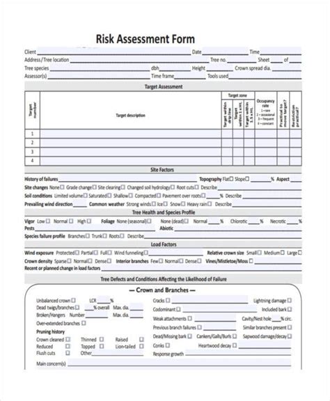 Ndis Client Risk Assessment Template