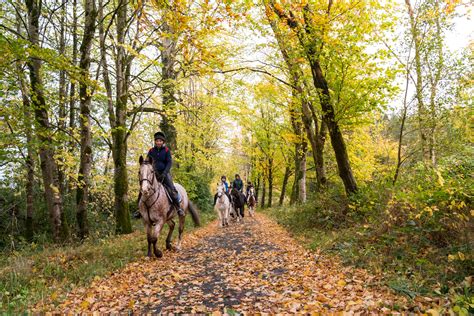 Castle & Estate Ride | Horse Riding Holidays in Ireland | Globetrotting