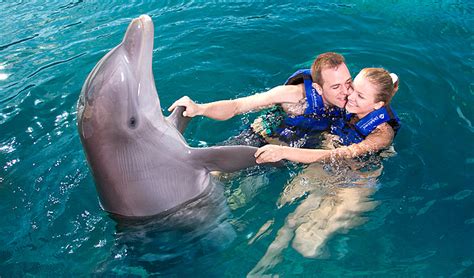 Couples Dream Swim with a Dolphin | Cancun Adventure Tours