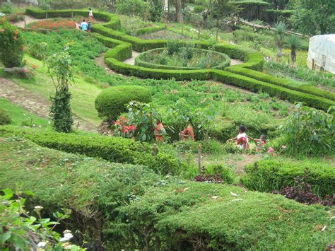 Explore Kodaikanal | Kodai International