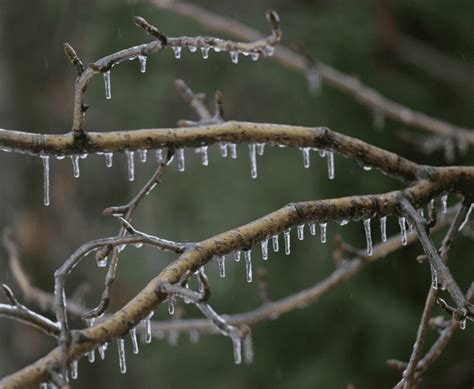 Is Freezing Rain Dangerous or Not? (Explained)