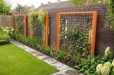 10 best Wire trellis images on Pinterest | Gardening, Trellis ideas and Vegetable garden