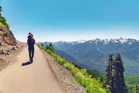 14 Top Hiking Trails in Olympic National Park | PlanetWare