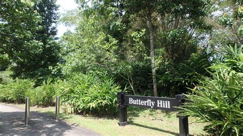 Butterfly Hill, Pulau Ubin | 300dpi photo. Please review the… | Flickr