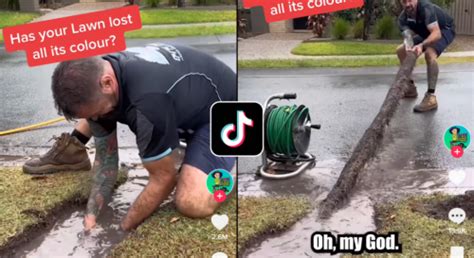 Is the ‘Giant Lawn Worm’ from TikTok real? | Flipboard