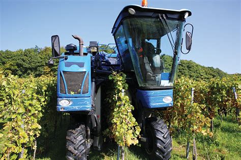 Harvesting grapes by machine? Thank marijuana | WAG MAGAZINE