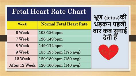 बेबी की धड़कन पहली बार कब सुनाई देती है | Fetal Heart Rate Chart | Normal Fetal Heart Rate - YouTube