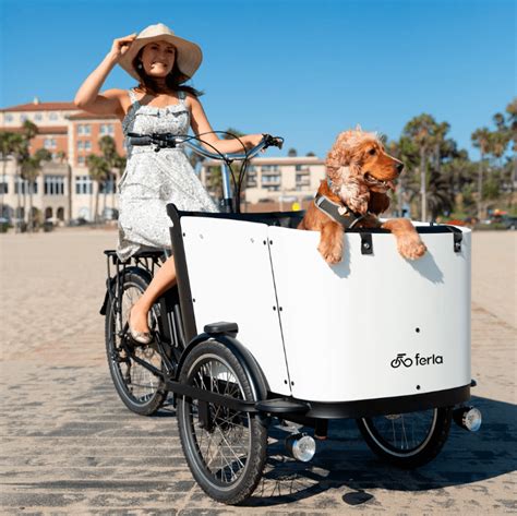 Electric Cargo Bikes with Dog Seat for Sale ᐈ E-Bicycles with Pet ...