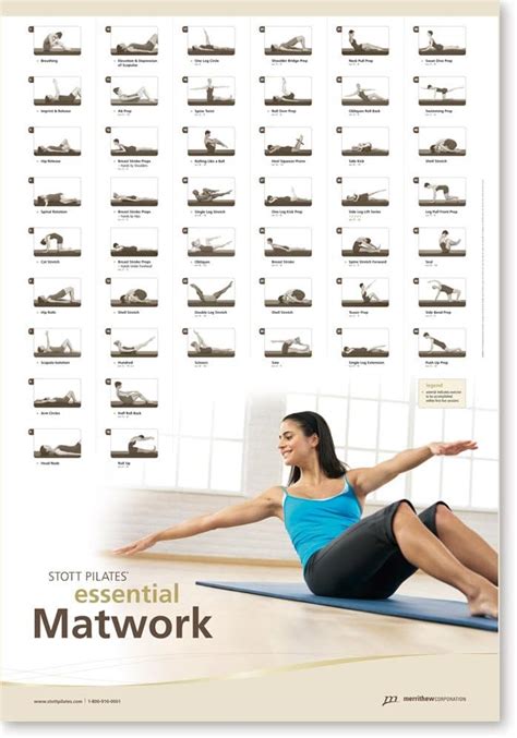 STOTT PILATES - Grafico da parete essenziale Matwork : Amazon.it: Sport e tempo libero