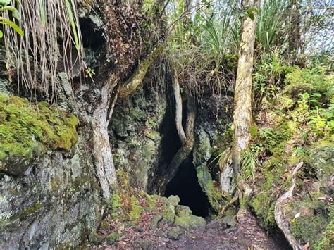 THE RANGITOTO ISLAND SUMMIT WALK | CHUR NEW ZEALAND