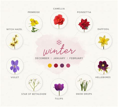 A Guide to Choosing Seasonal Blooms for Your Wedding Flowers