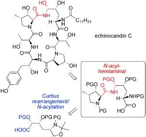 Total Synthesis of the Antifungal Agent Echinocandin C - Messik - 2013 ...