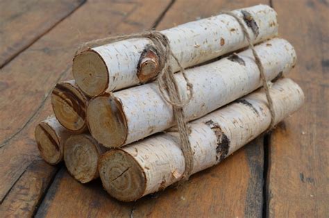 White Birch Logs 6 White Birch Logs Rustic Craft Supply - Etsy