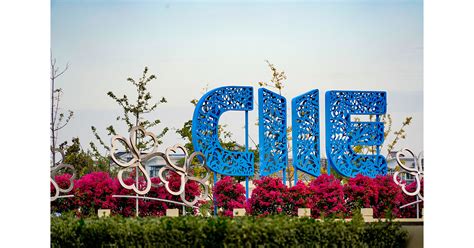 China International Import Expo welcomes more global firms to explore vast opportunities