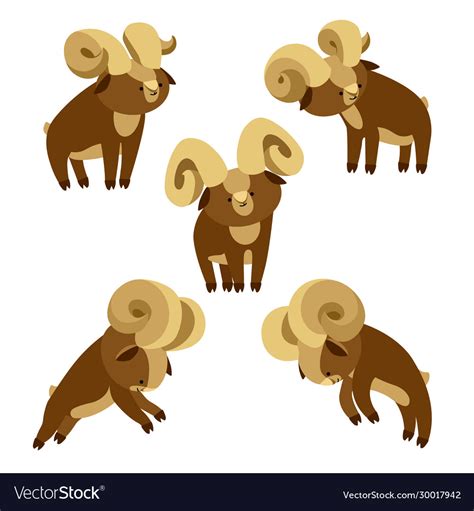 Set a young brown horned argali males Royalty Free Vector