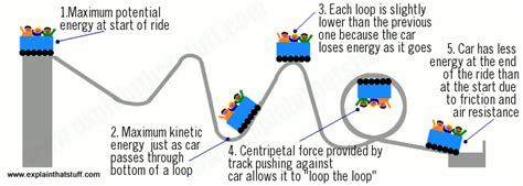 Roller Coaster Science: Understanding Energy and Forces