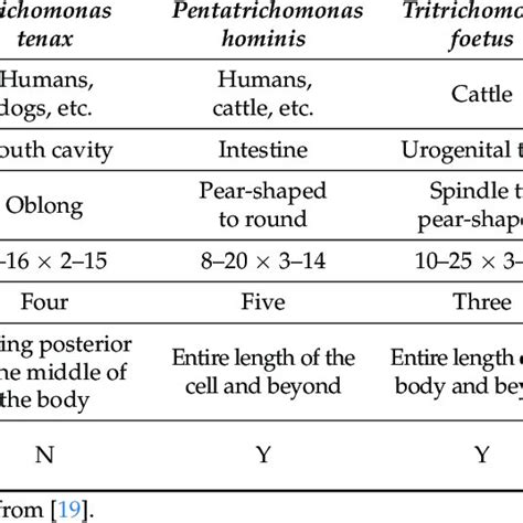 (PDF) Trichomonas tenax: A Neglected Protozoan Infection in the Oral Cavities of Humans and Dogs ...