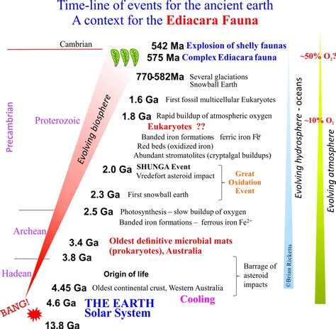 Ediacaran fauna | Geological Digressions