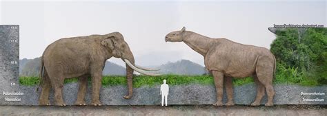 Largest Land Mammal Ever by SameerPrehistorica on DeviantArt