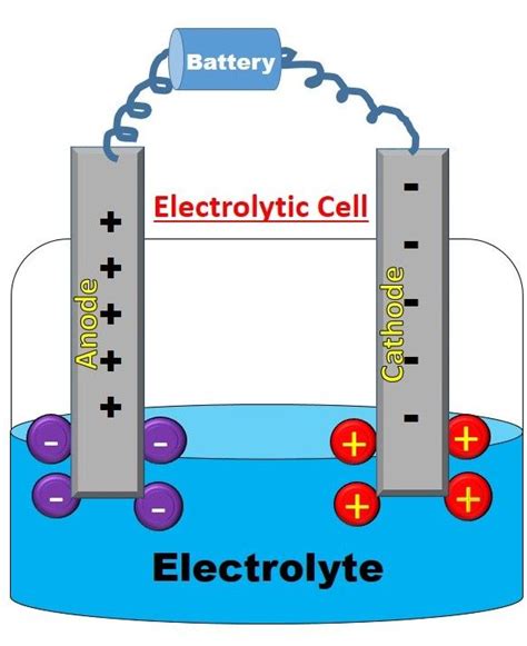 What is Electrolytic cell | Teaching chemistry, Electrochemical cell ...