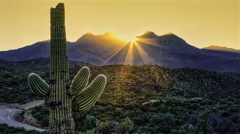 Four Peaks Sunrise | Arizona photography, Sunrise, Arizona