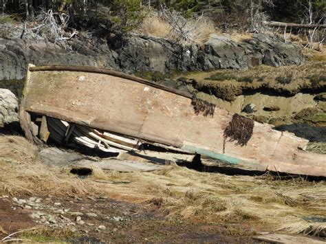 September’s Featured Preserve: Reversing Falls | Downeast Coastal Conservancy