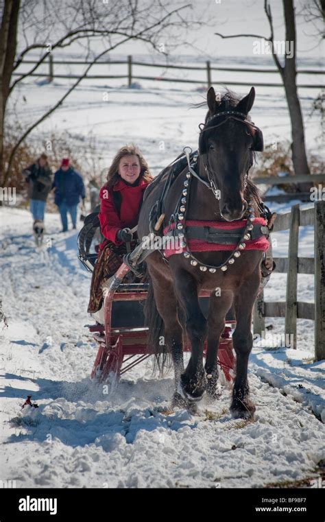 Horse drawn sleigh in snow Stock Photo - Alamy