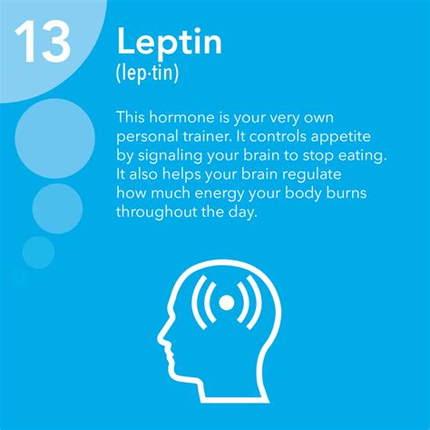 Leptin Supplements Reviews By Morgan Hurst | A Listly List