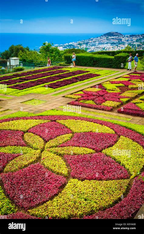 Madeira Botanical Gardens Stock Photo - Alamy