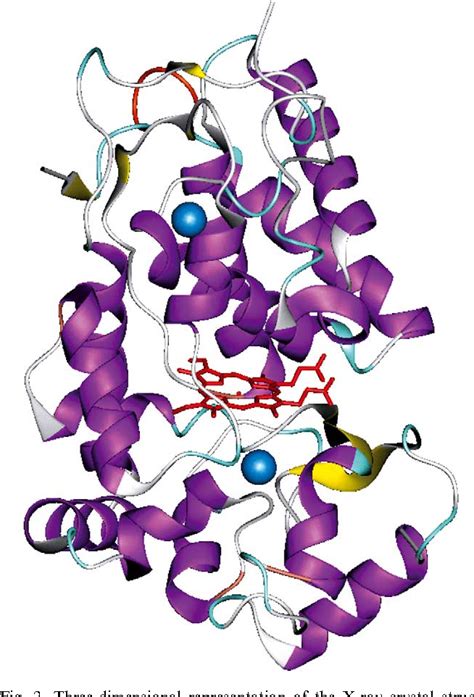 Figure 2 from Horseradish peroxidase: a modern view of a classic enzyme. | Semantic Scholar