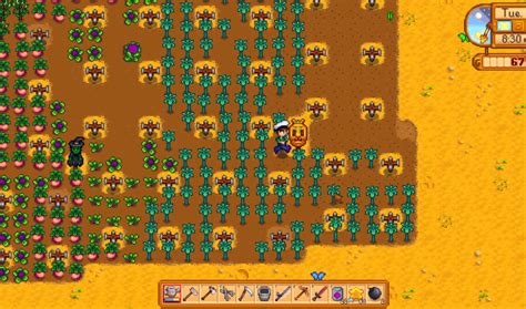 Stardew Valley Starfruit Guide [2023]