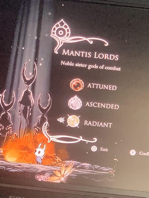 Beat my first radiant boss :D : r/HollowKnight