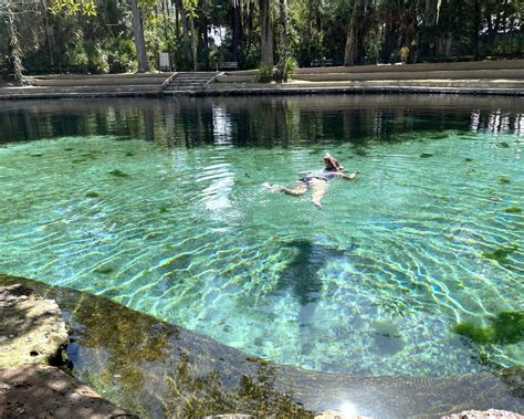 Springs In The Ocala National Forest - Florida Lives