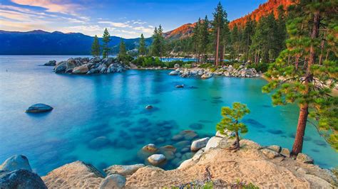 Tahoe Beach – Bing Wallpaper Download