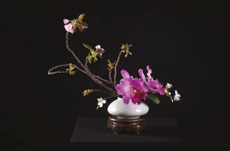 Korean Kocoji - Traditional Korean Floral Arranging - Living Flowers