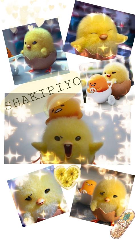 shakipiyo