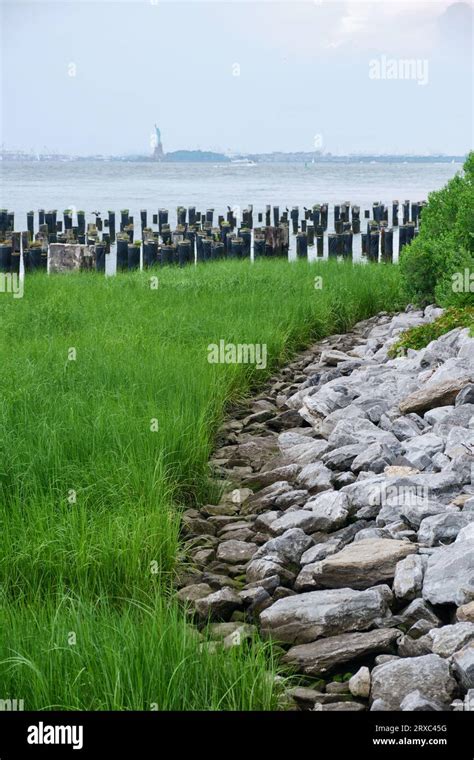 View of the Statue Of Liberty from Brooklyn Bridge Park, New York City ...