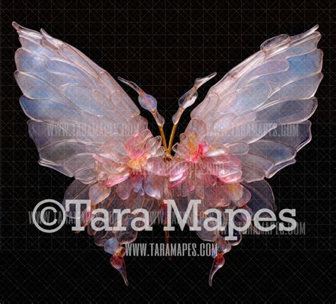 Fairy Wing Overlay - Fairy Wing Overlay - Crystal Digital Wings ...