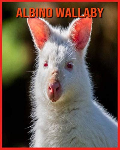 Albino Wallaby: Incredible Pictures and Fun Facts about Albino Wallaby by Betty Marc | Goodreads